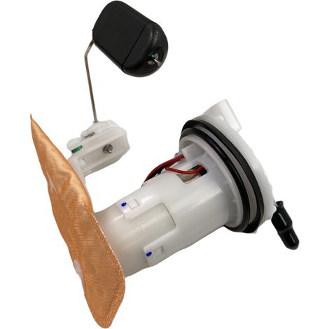 Elektrische Kraftstoffpumpe ZOOMER-X für Motorräder, kompatibel mit Honda Wasserpumpenmotor 16700-K20-T0