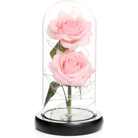 Künstliche Rose unter einer Glasglocke mit LED-Beleuchtung und Geschenkbox (20 cm) (1/5)