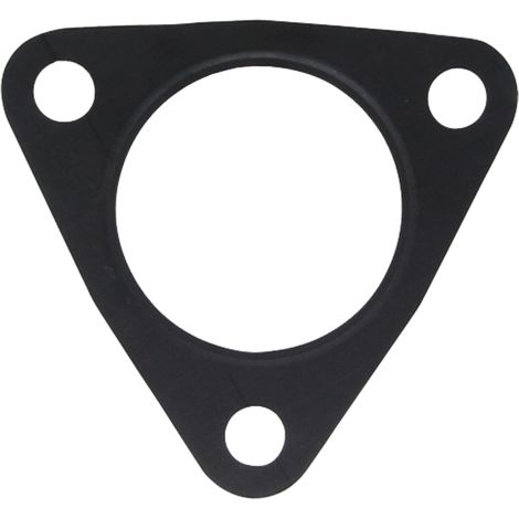 Joint de turbine turbo pour FENDT F119200100030