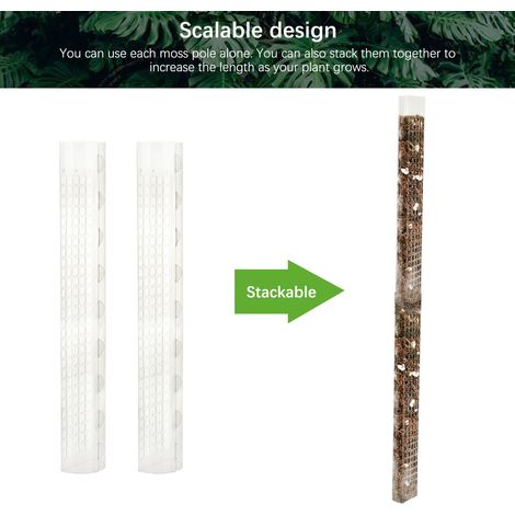 Tuteur en plastique pour plantes grimpantes, support en mousse, tige en mousse en forme de dos de tortue pour plantes et tourbe (1/5)