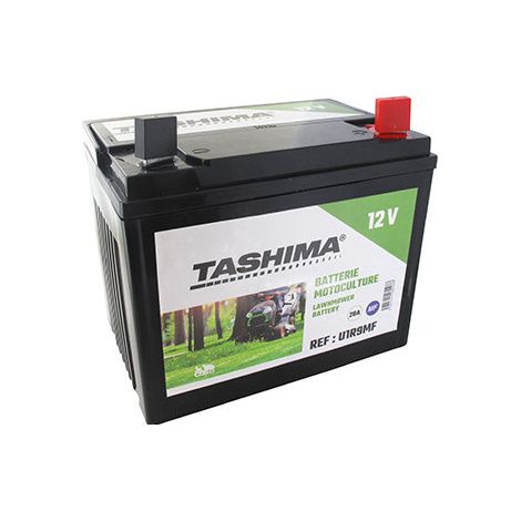 Batería para cortacésped autopropulsado 12V, sin mantenimiento, cargada, 28A. Largo: 195 mm, Ancho: 130 mm, Alto: 185 mm, + a la derecha. Reemplaza origen: U1r9 -