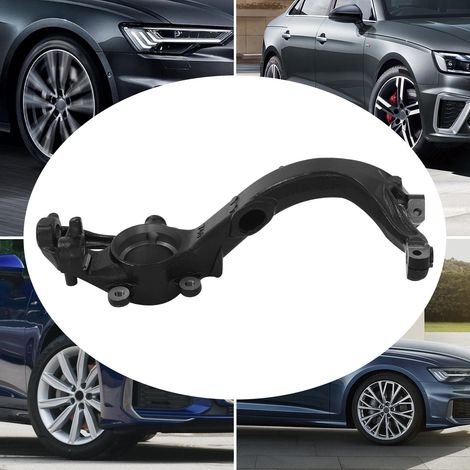 Achsschenkel Radaufhängungs-Lagergehäuse rechts für Audi A4/A6 & VW Passat, Sphäroguss, Direkter Austausch (1/5)