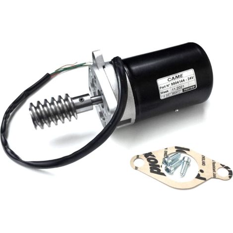 CAME 119RIBS014 Gruppo Motore Elettrico 24v Per Sdn 4 Bxv 04 400 KG Ricambio Fino al 2022