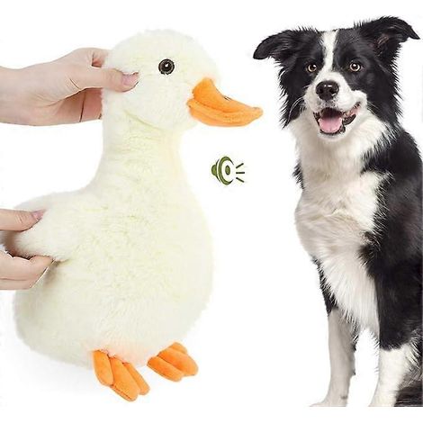 Jouet à mâcher en peluche, canard hurlant avec ailes, qui fait du bruit pour les chiens (1/5)