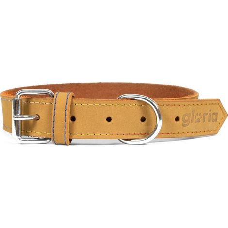 Collier pour Chien Gloria Oasis Jaune (45 x 1,8 cm) (1/5)