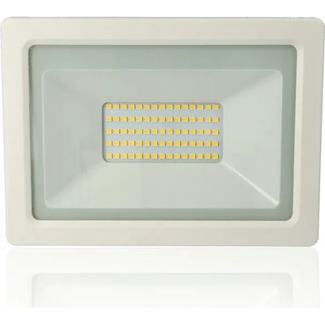 Proiettore LED, 50W, 220Vac, Luce Naturale, Bianco
