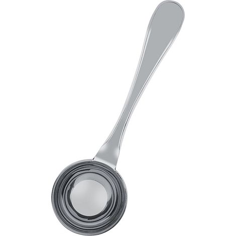 ZJchao Messlöffel, Edelstahl-Kaffeelöffel in Silber für Milchpulver, Gewürze (15 ml) (1/5)