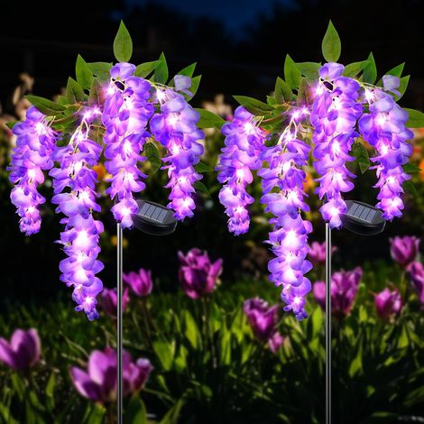 2 lampes solaires fleurs de glycine violettes, IP65, décoration terrasse/patio/allée. (1/4)
