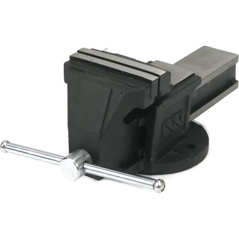 Feststehender Schlosserschraubstock aus duktilem Gusseisen 100 mm Waryński (1/3)