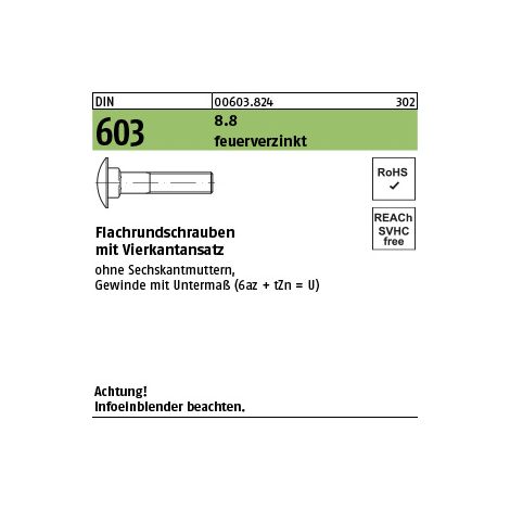 DIN 603 Flachrundschraube M12x40 Stahl 8.8 feuerverzinkt m. Vierkantansatz 100 Stk