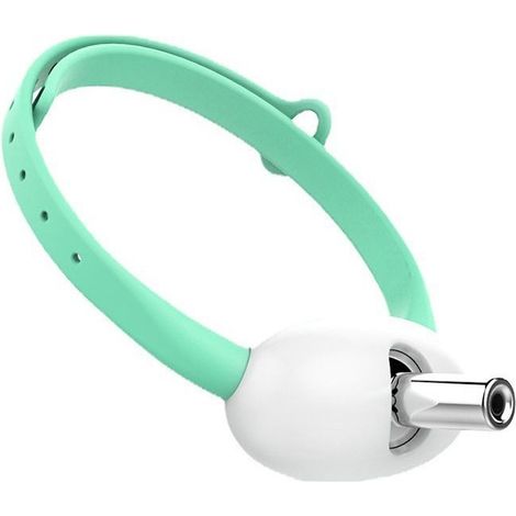 Collier pointeur laser pour chats (1/5)