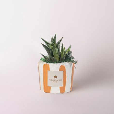 Vaso decorato a strisce con pianta grassa succulenta Millerighe - Arancione