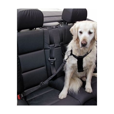 Sangle de sécurité pour chien - X Tour de poitrine 80-110 cm