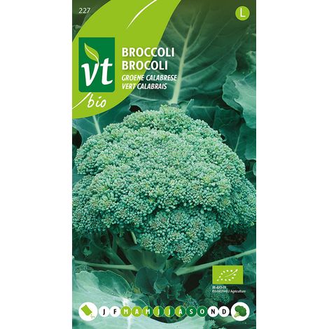 Bio Brocoli Vert Calabrese - Ca. 0,3 gr (Livraison Gratuite) (1/2)