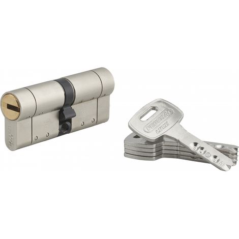 THIRARD - Cylindre de serrure double entrée Federal S, 35x35mm, nickel, anti-arrachement, anti-perçage, 5 clés - THIRARD (1/3)