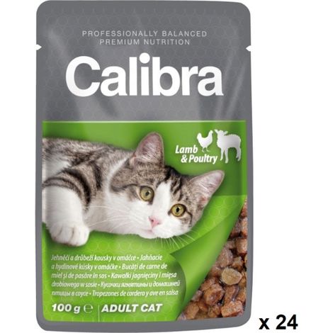 Calibra CAT CAT CATH ALDAGNAGNAGNO POLLO POLLO 24X100GR