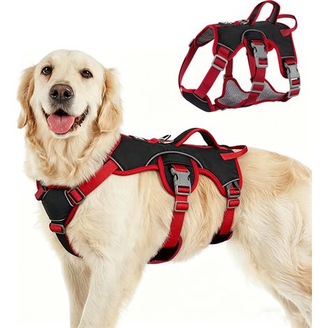 Harnais Pour Chien Avec Bandes Réfléchissantes, Poignée Et Anneau En Laisse – Respirant, Durable, Réglable, Imperméable – Adapté Aux Petites Et Grandes Races, Taille L (1/5)