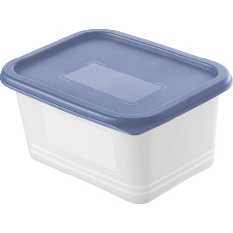 Rotho Gefrierdosen-Set Domino 4 x 0,75 L blau Frischhaltedose KÃ¼hlschrankdose Vorratsdose