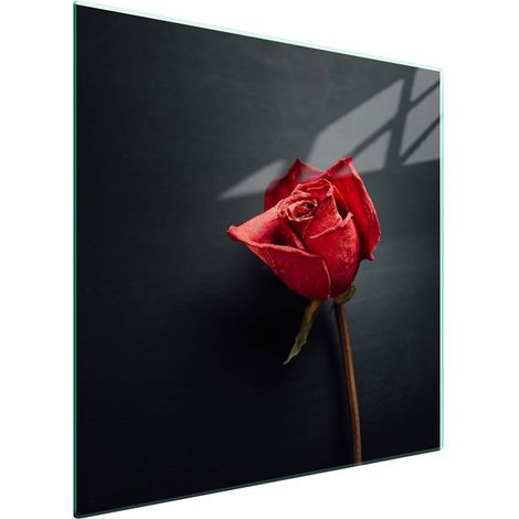 Piastra protettiva in vetro per piano cottura 50x52 Rosa (1/5)