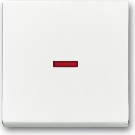 Copertura interruttore Busch Jaeger 1789-84 bianco 14x16 cm