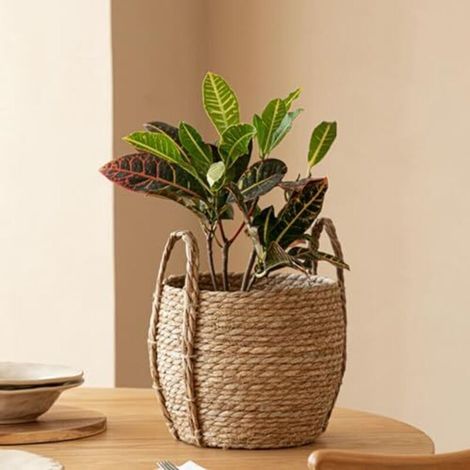 Panier de jardinière tissé, Panier de jardinière d'herpres Marins 10, 2x11, 8 Pouces (1/5)