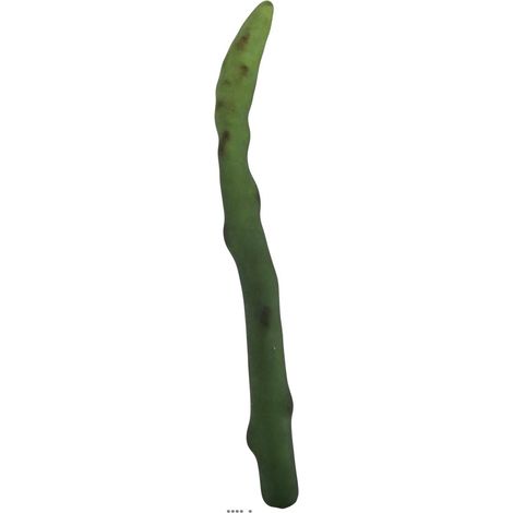 Asperge verte artificielle superbe de réalisme, H24, D 2cm, 50g (1/2)