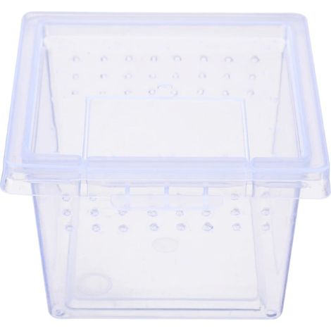 Terrario Insektenbox Mini – Terrarium für Insekten, 6,5 x 6,5 x 4,5 cm (1/5)