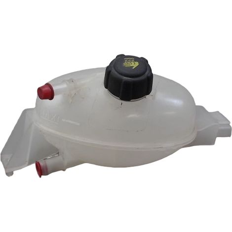Vase Expansion RENAULT Master [PRODUIT D'OCCASION]♻️217100015r (1/2)