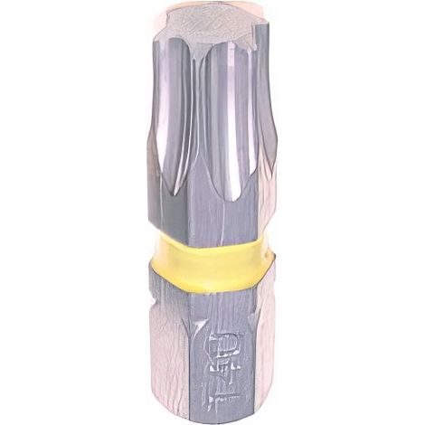 100 embouts bagues torx longueur : 25mm - TX10