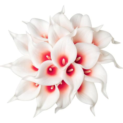 Diez calas artificiales, de tacto realista, hechas de látex, ideales para ramos de novia, fiestas y decoración del hogar (base blanca con centros amarillos).