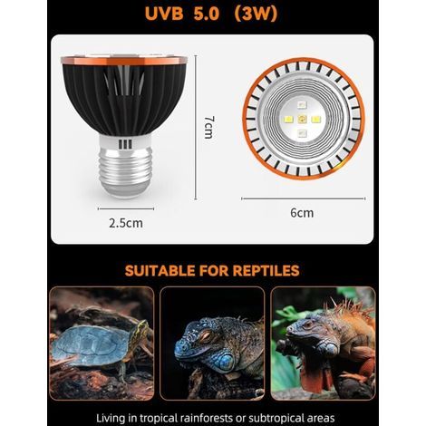 Lampe Tortue, Lampe UVB5.0, LAMPE PAS CHAUFFANTE, Lampe Reptile, Lampe UV E27 pour Reptiles, UVB 195/UVA 116 en 10cm, Lampe UVA+UVB Tortue, Lampe Calcium pour Lézards/Caméléon (1/4)