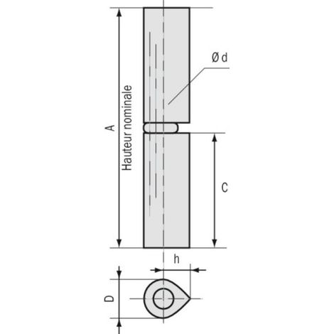 Torbel – Paumelle pour meuble 60 mm – Acier étiré grenaillé – Bague en laiton – Fixation solide et durable