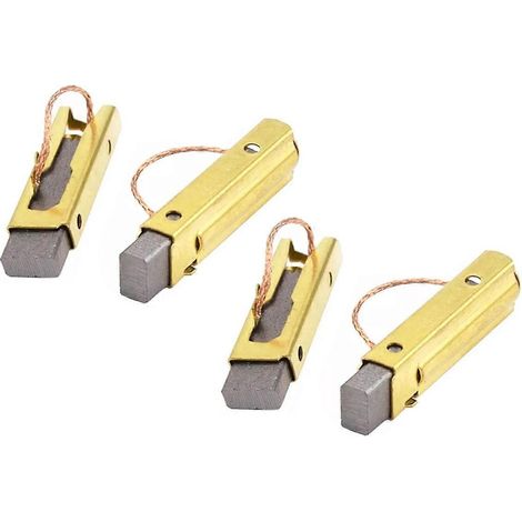 Jeu de 4 balais de charbon 496268 compatibles avec l'aspirateur MIRKA915 (1/5)