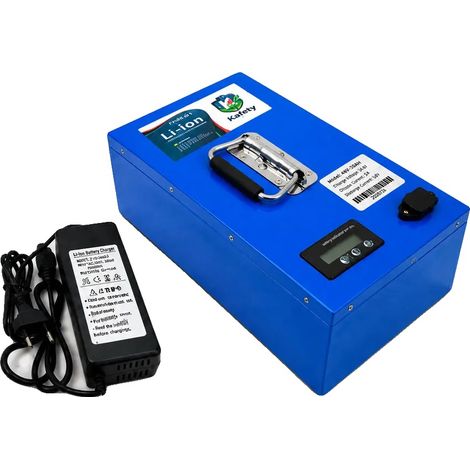 Batterie lithium-ion, capacité 30AH, compatible avec les moteurs électriques, 48V 30AH-1PCS (1/2)