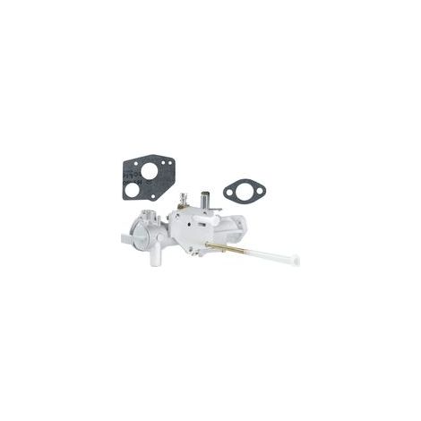 Carburateur pour motoculteur Briggs & Stratton 297599 299437 130251 130252 (1/4)