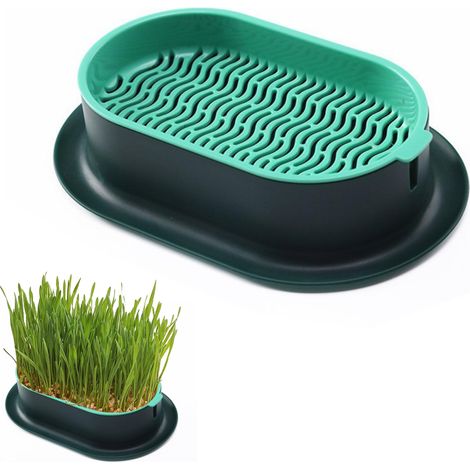 Kit de culture hydroponique pour herbe à chat (graines non incluses), plateau de germination pour graines de cataire et d'herbe de blé, boîte de plantation pour chats d'intérieur, sans terre. (1/5)