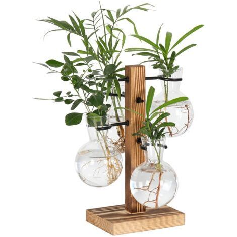 Kit de terrariums pour plantes, support de pot de fleurs hydroponiques de bureau, station de propagation de plantes avec 4 vases en verre et support en bois massif, cadeau de jardinage pour (1/5)