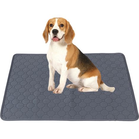Tapis D'éducation Pour Chien Réutilisable - Absorption Rapide Et Imperméable - Pour Maison Et Voyage - Lot De 1