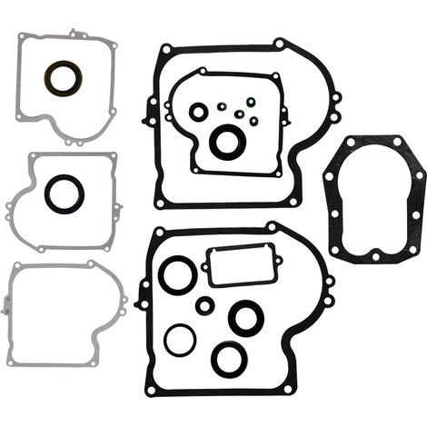 Briggs & Stratton 393411 replacement gasket set compatible with 10 to 11 HP engines (1/5)