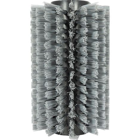 Rouleau à brosse pour bois – Brosse nylon pour nettoyage – Compatible Grizzly ERB 550-1H/2S/3U – Élimine mousse et lichen – Grizzly Tools (1/3)