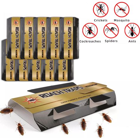 Lot de 10 pièges à insectes, répulsif, lutte antiparasitaire d'intérieur, hôtel antiparasitaire (1/5)