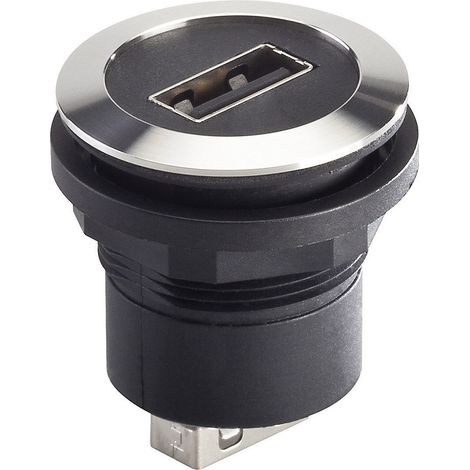 USB-Einbaubuchsen 2.0 Buchse, Einbau RRJVAUSBAA  RRJVAUSBAA Schlegel Inhalt: 1 St.