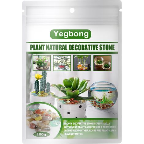 EASYCOMFORT Galets de pierre Yuhua, pierres décoratives pour pots de plantes, pierres décoratives pour pots de fleurs et aquariums, pavés colorés et charnus 100g (1/5)