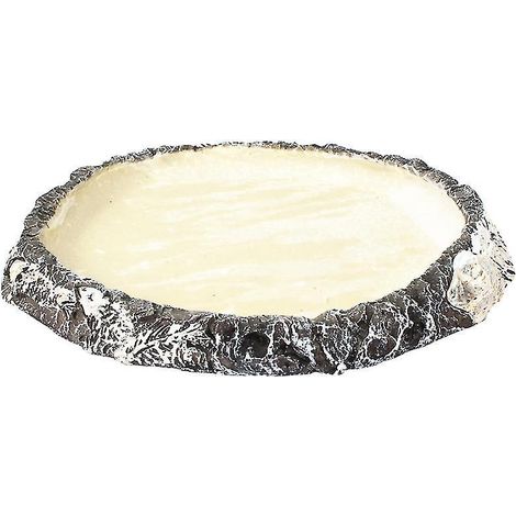 1 assiette nourrissante pour reptiles (1/3)