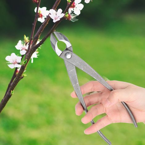 Multifunktionale Gartenschere, Astschneider für Bonsai und Bäume, Gartenschere, Werkzeug (1/5)