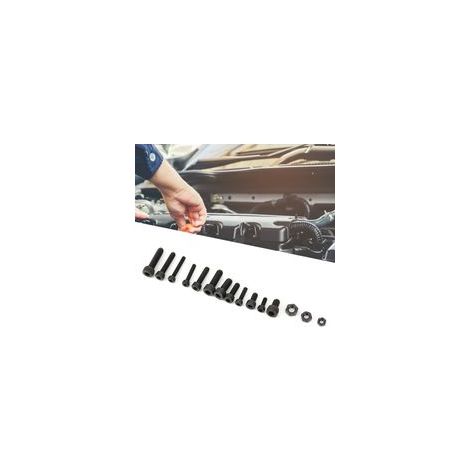 Coffret de 500 vis à six pans creux, écrous à tête cylindrique noirs, antirouille, M3, M4, M5 (1/5)