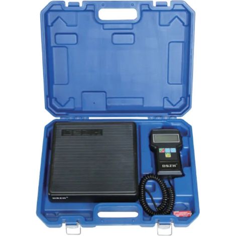Bilancia elettronica 100 kg