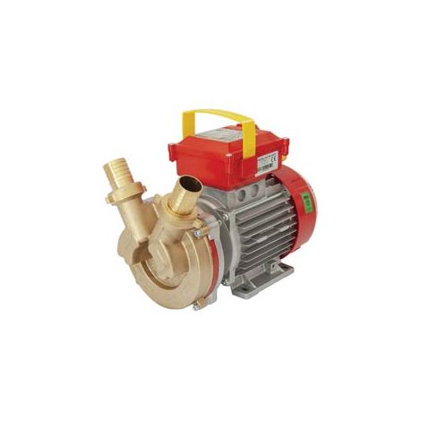 ELETTROPOMPA IN BRONZO BISENSO DA TRAVASO ROVER 30 CE    ROVER