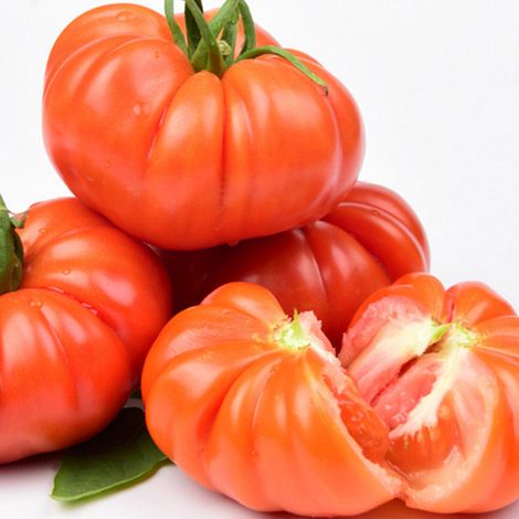 100 'Red Steak' tomato seeds: a large-fruited variety with thick, meaty flesh requires plenty of sunlight (1/5)