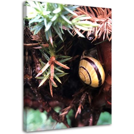 Tableau décoratif Escargot feuille nature 40x60 (1/5)